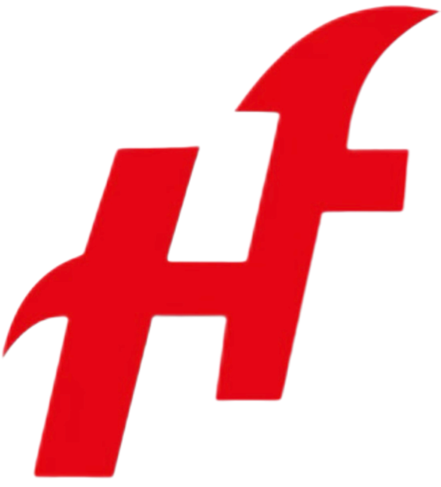 广东宏顺实业集团有限公司